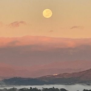 Meet your Posher, Tayla jade